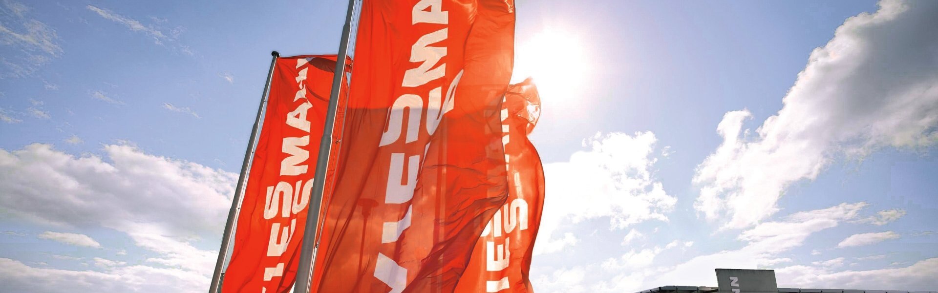 viessmann_flags_1920x1080.jpg