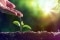 A imagem mostra os raios de sol e uma mão a pingar água sobre uma planta jovem, simbolizando a produção de AQS com um sistema solar térmico.